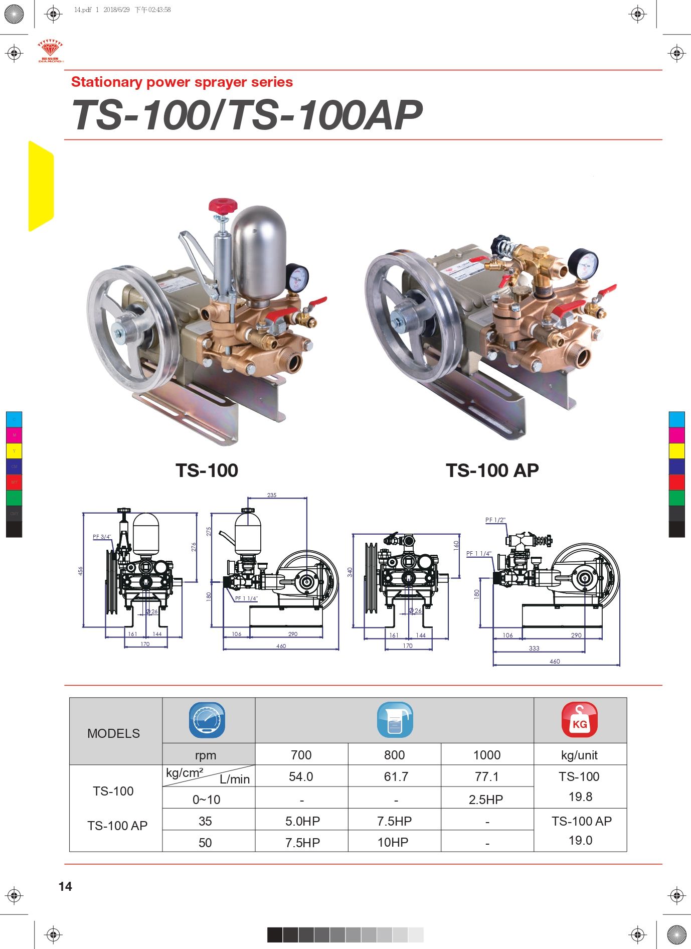 鑽石牌TS-100 DM_page-0001.jpg